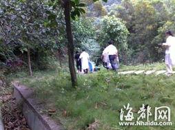 福州长乐爆料案件最新,惊人真相揭开背后黑幕